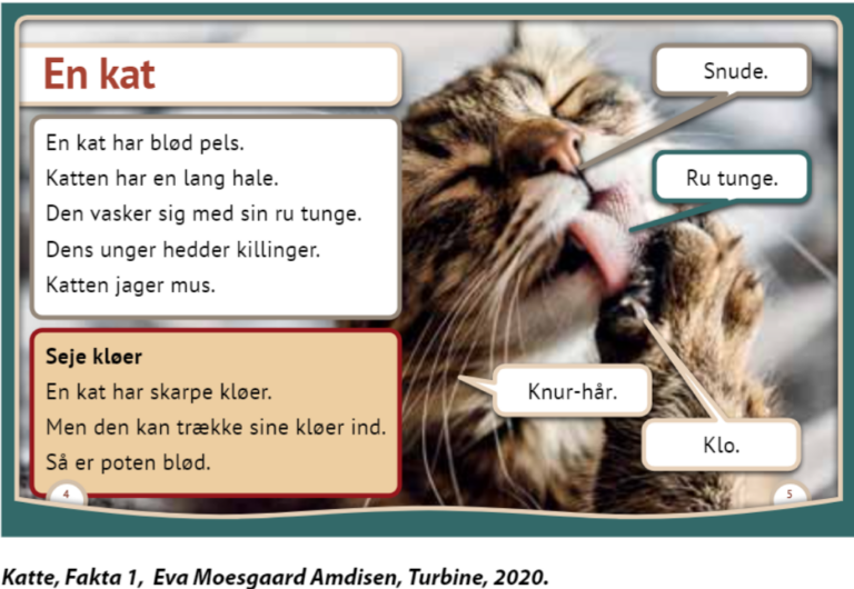 Turbine faglitteratur