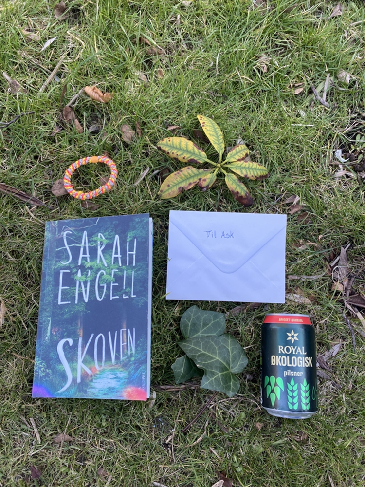 skønlitteratur, Book bento
