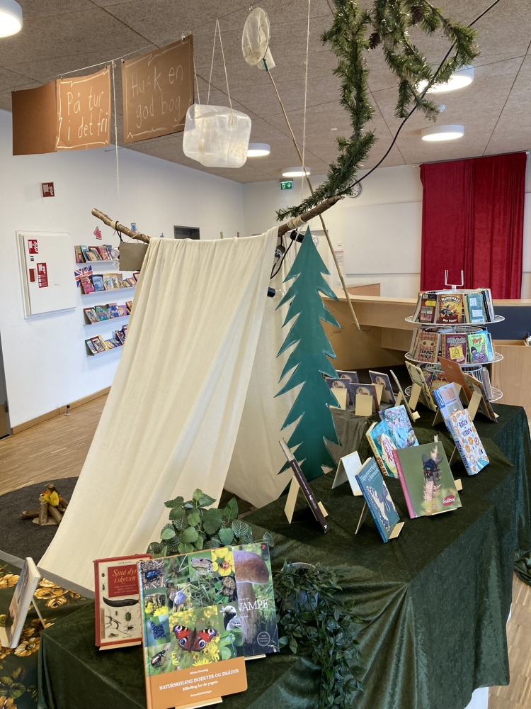aktivitet, sommer, biblioteket